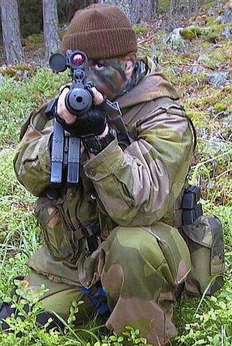 挪威海軍陸戰隊特種部隊.jpg
