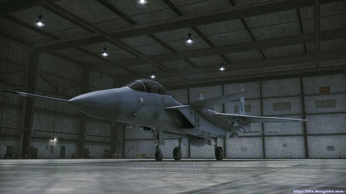 113.jpg