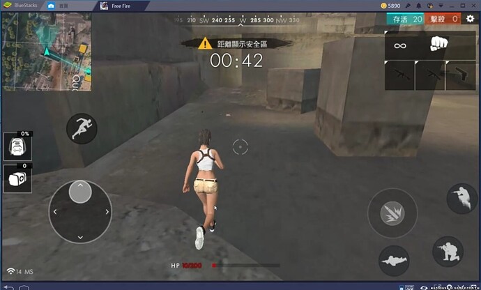 3.jpg