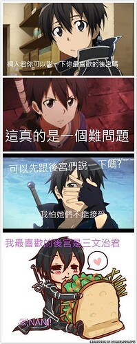 誰也不能取代的正宮.jpg