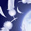user104011