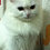 user58684